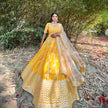 Ziniya Embroidered Lehenga Set