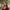Ishana Maroon Embroidered Lehenga Set