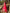 Nihan Red Embroidered Lehenga Set