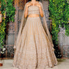 Phebe Gold Lehenga