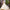 Esther Off White Modern Lehenga