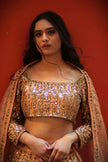 Aditi Gold Embroidered Lehenga Set