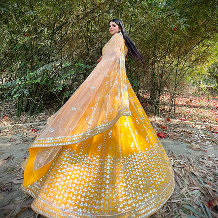 Ziniya Embroidered Lehenga Set