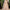Phebe Gold Lehenga