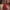 Ishana Maroon Embroidered Lehenga Set